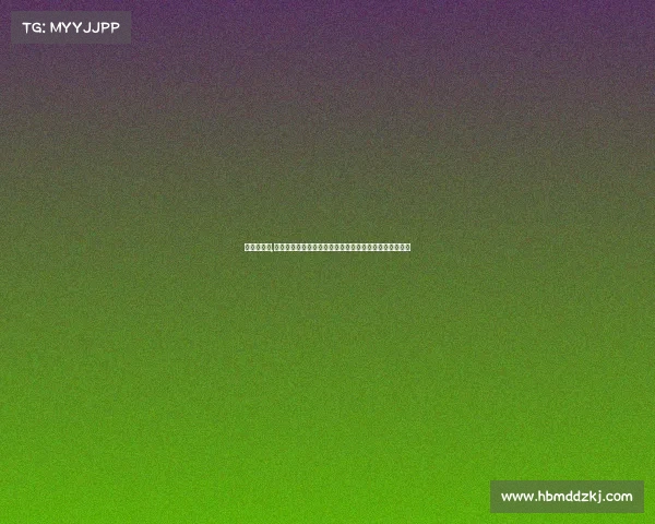 济南锦标赛,二〇一七年济南赛事激情盛况永恒记忆精彩回顾征程印记